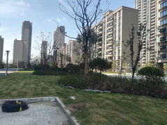 金壇碧桂園一區圖片相冊,常州金壇碧桂園一區實景圖 室外圖 小區配套圖