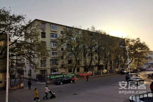 南廠住宅中區優點 不足,南廠住宅中區怎么樣,南廠住宅中區周邊房產中介經紀人評價