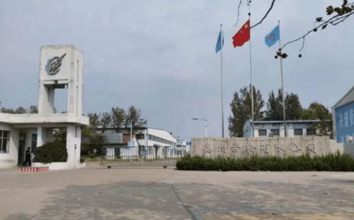 535萬元 畝 德州齒輪廠地塊以起始價,被本土地產商摘得 樓面價3200元 平