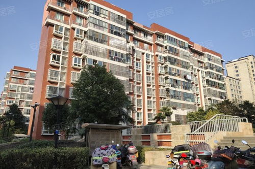 城開半島花園優點 不足,城開半島花園怎么樣,城開半島花園周邊房產中介經紀人評價