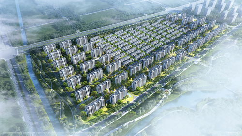 碧桂園保利濱湖云著圖片 樣板間 裝修效果圖