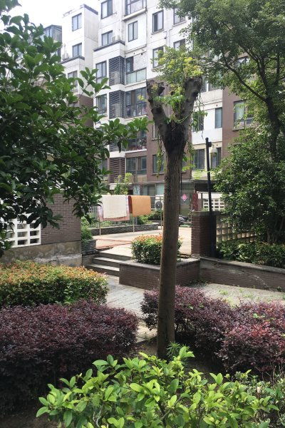 左鄰右里 別墅 優點 不足,左鄰右里 別墅 怎么樣,左鄰右里 別墅 周邊房產中介經紀人評價