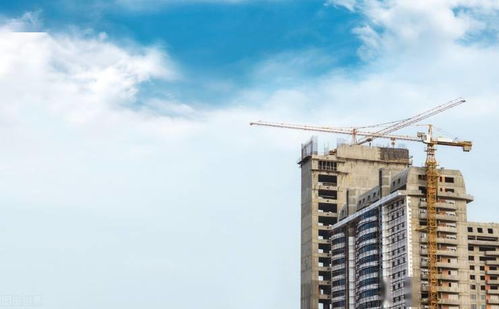 高端產品失聲 回歸剛需的李滄 下半年能 浪起來 嗎