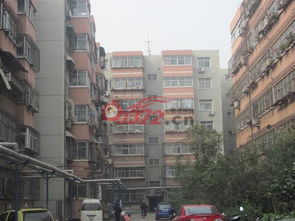 安陽北關區 機床廠家屬院 房產頻