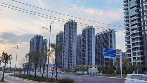 剛剛 鄭州,宣布取消