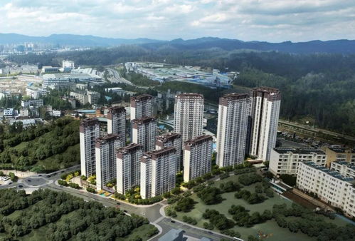 上新 吹風價1.5萬 平 大華低價挑戰 東三環