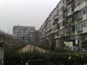 黑窯廠西里租房,7500元 月,陶然亭公園 地鐵二居室 配套完善 適合一家人居住 老業主隨時看房 北京黑窯廠西里租房 推推99北京房產網