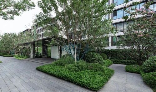 2024年河南省房地產企業產品力排行榜