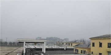 重點流域水污染防治項目網上公開巡查 江蘇省常州市金壇區指前鎮污水處理廠建設項目進展情況