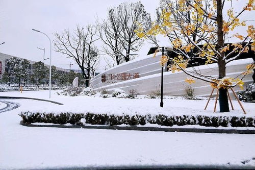 萬科公園大道優點 不足,萬科公園大道怎么樣,萬科公園大道周邊房產中介經紀人評價