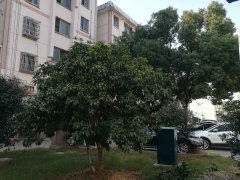 金溪新村圖片相冊,常州金溪新村實景圖 室外圖 小區配套圖